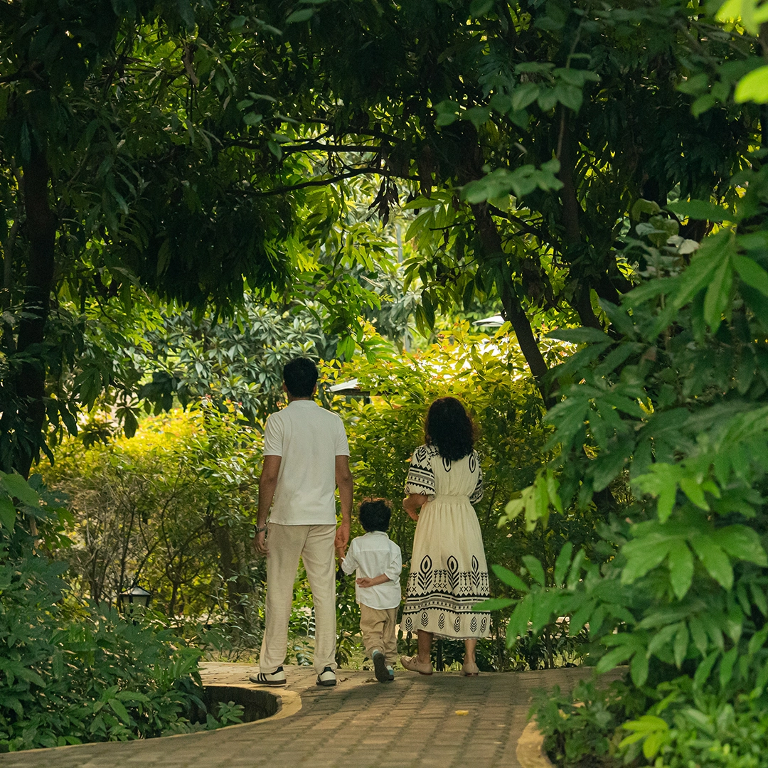 Tea Garden Activities